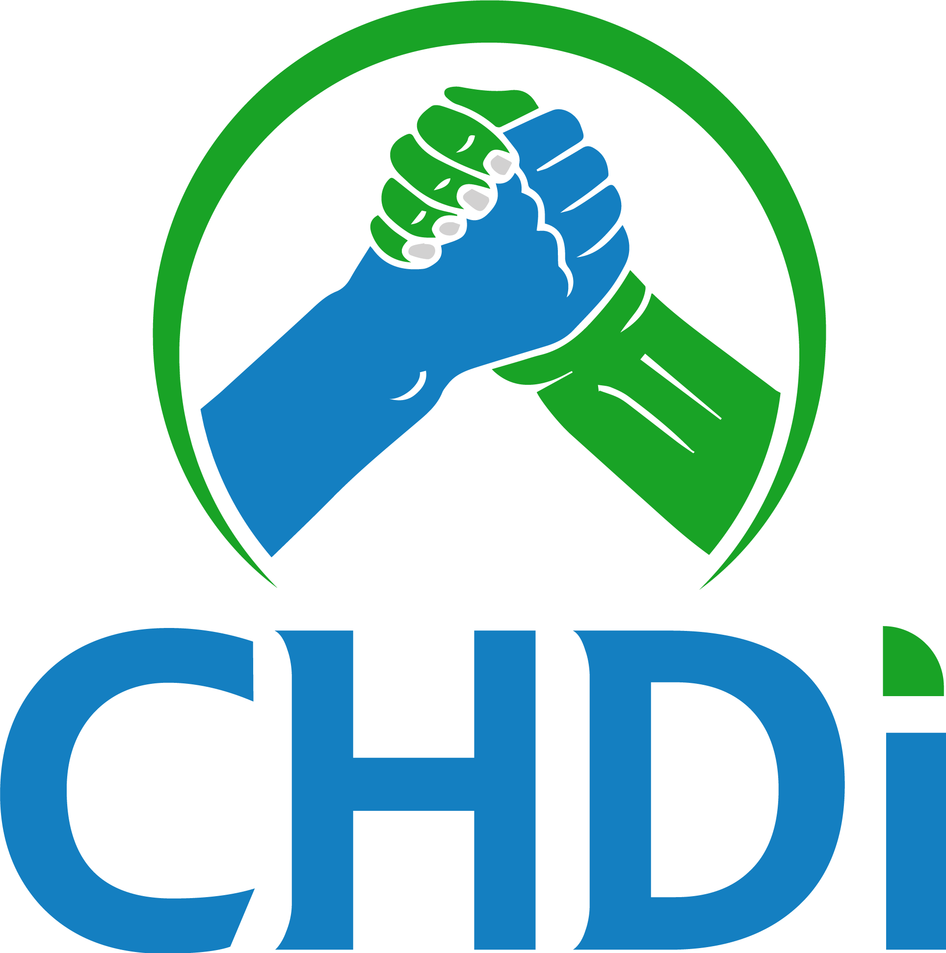COMMUNITY AND HEALTH DEVELOPMENT INITIATIVES TANZANIA (CHDi)